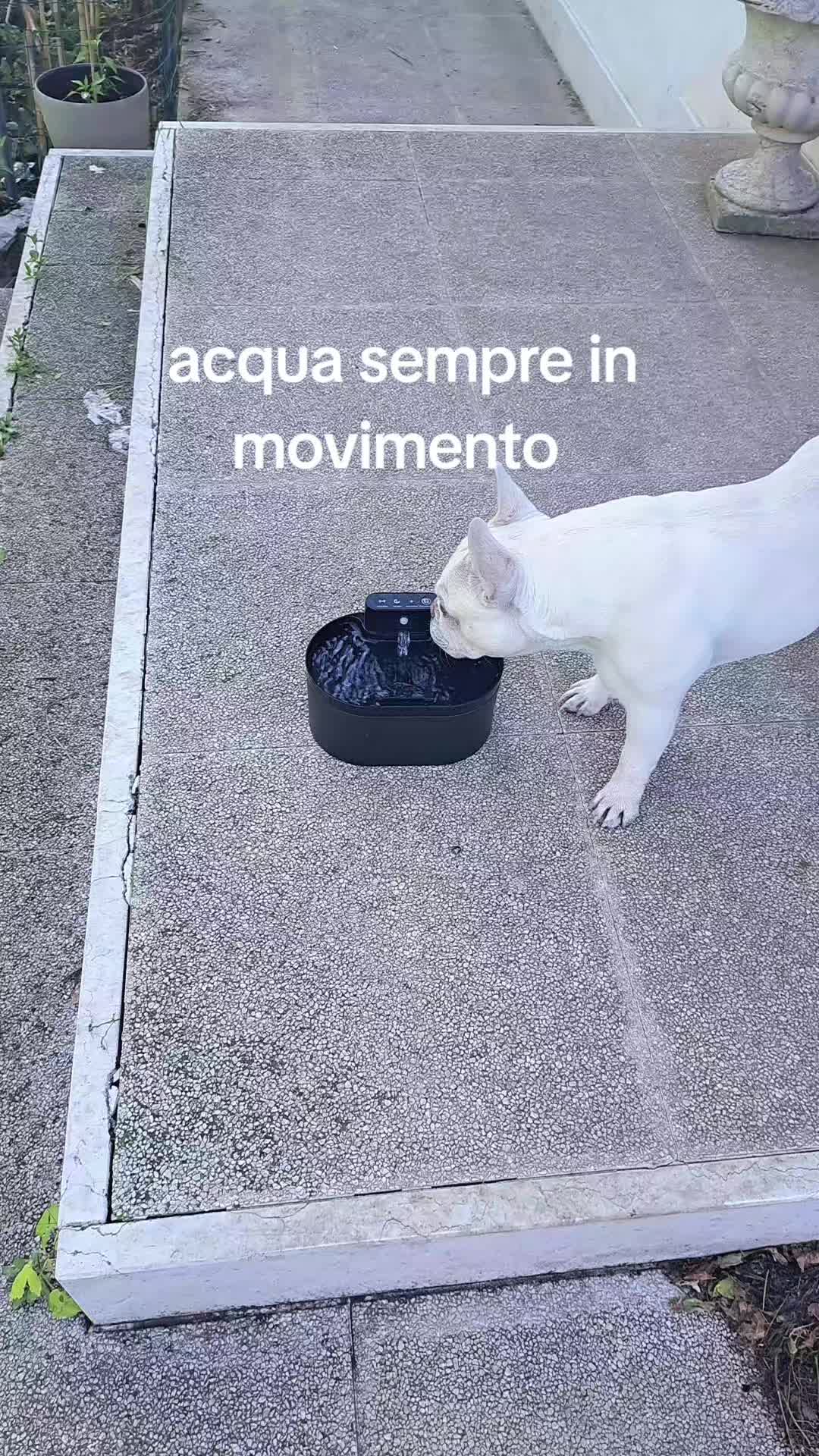 @Paola Pichetto