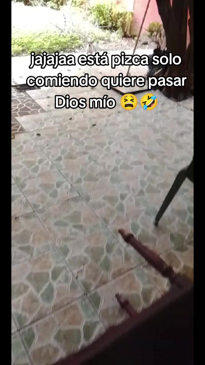 @☄️jikooklupita☄️