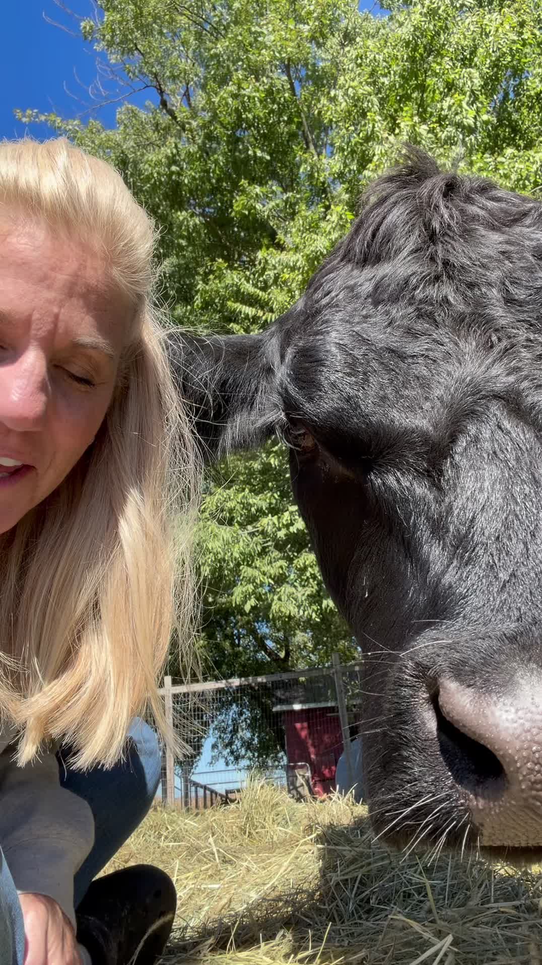 @Kitzman’s Farm Sanctuary