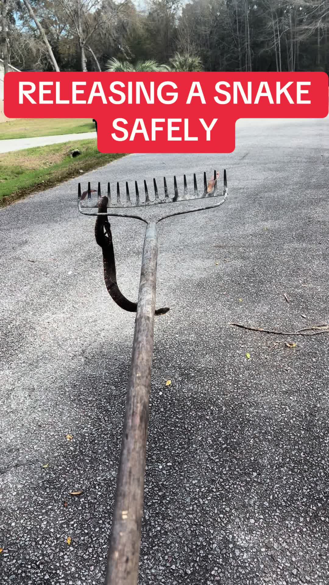 @BeaufortSC_Bait