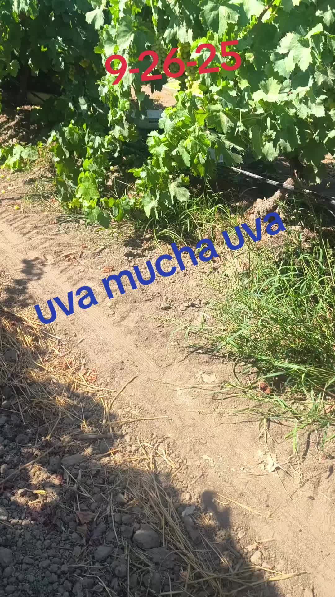 @MAYA SIN ❤️💔❤️