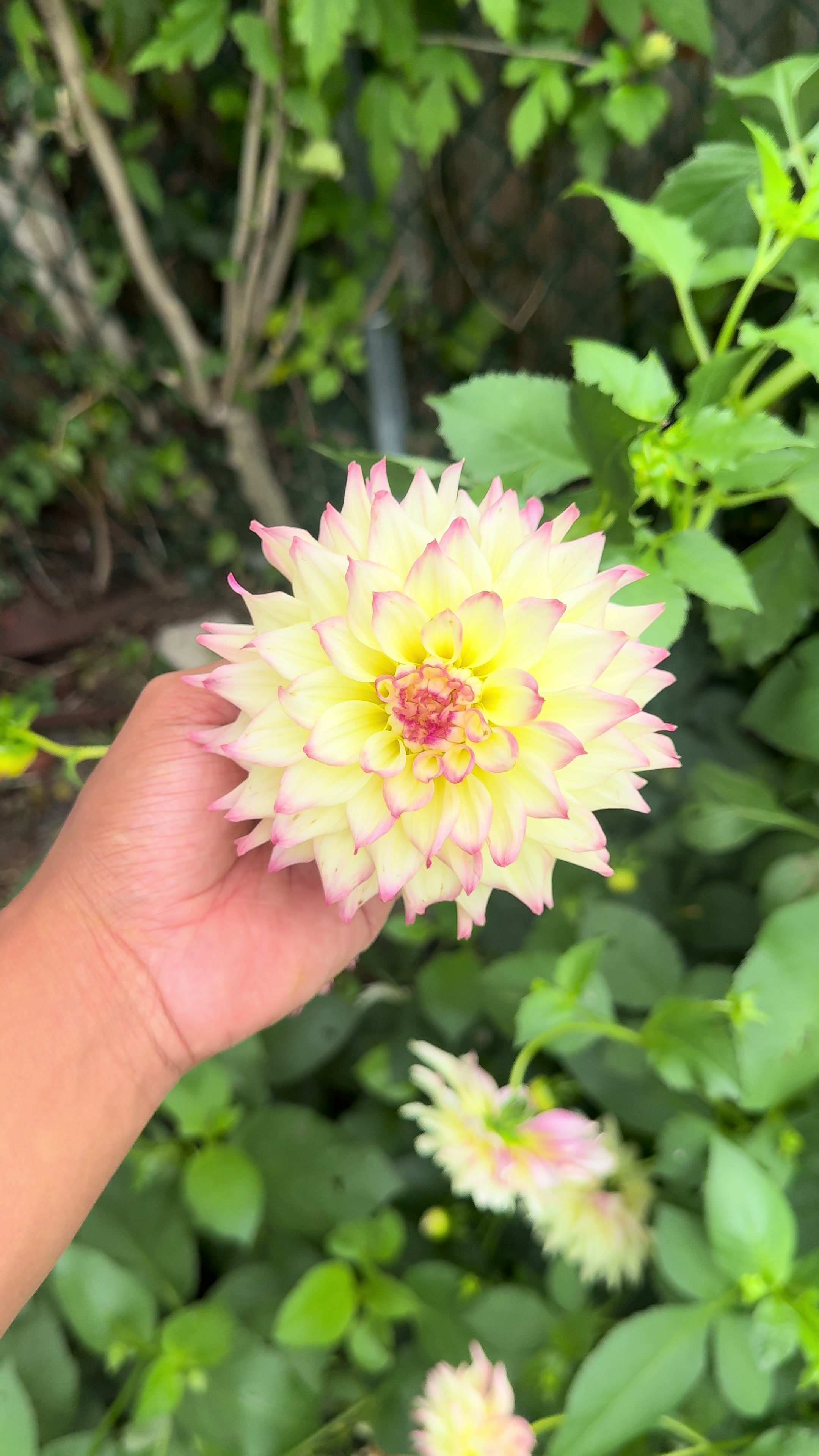 @plantsbyfern