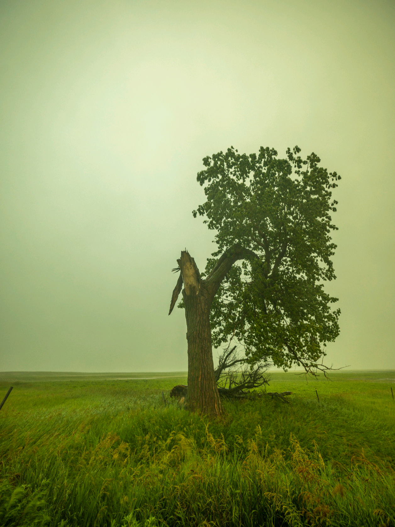 @Aaron Groen