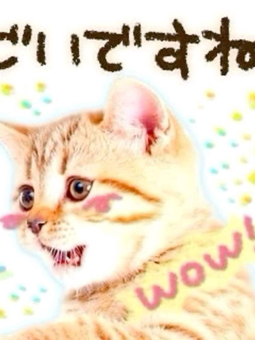 @˚⊱☆leo☆⊰˚