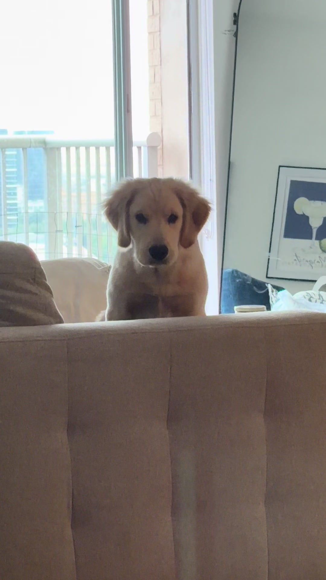 @Luca the Golden