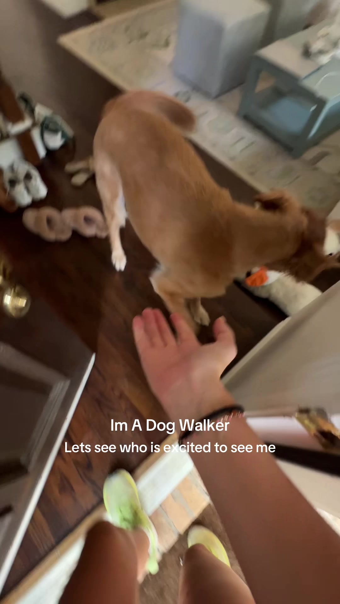 @dallasdogwalker