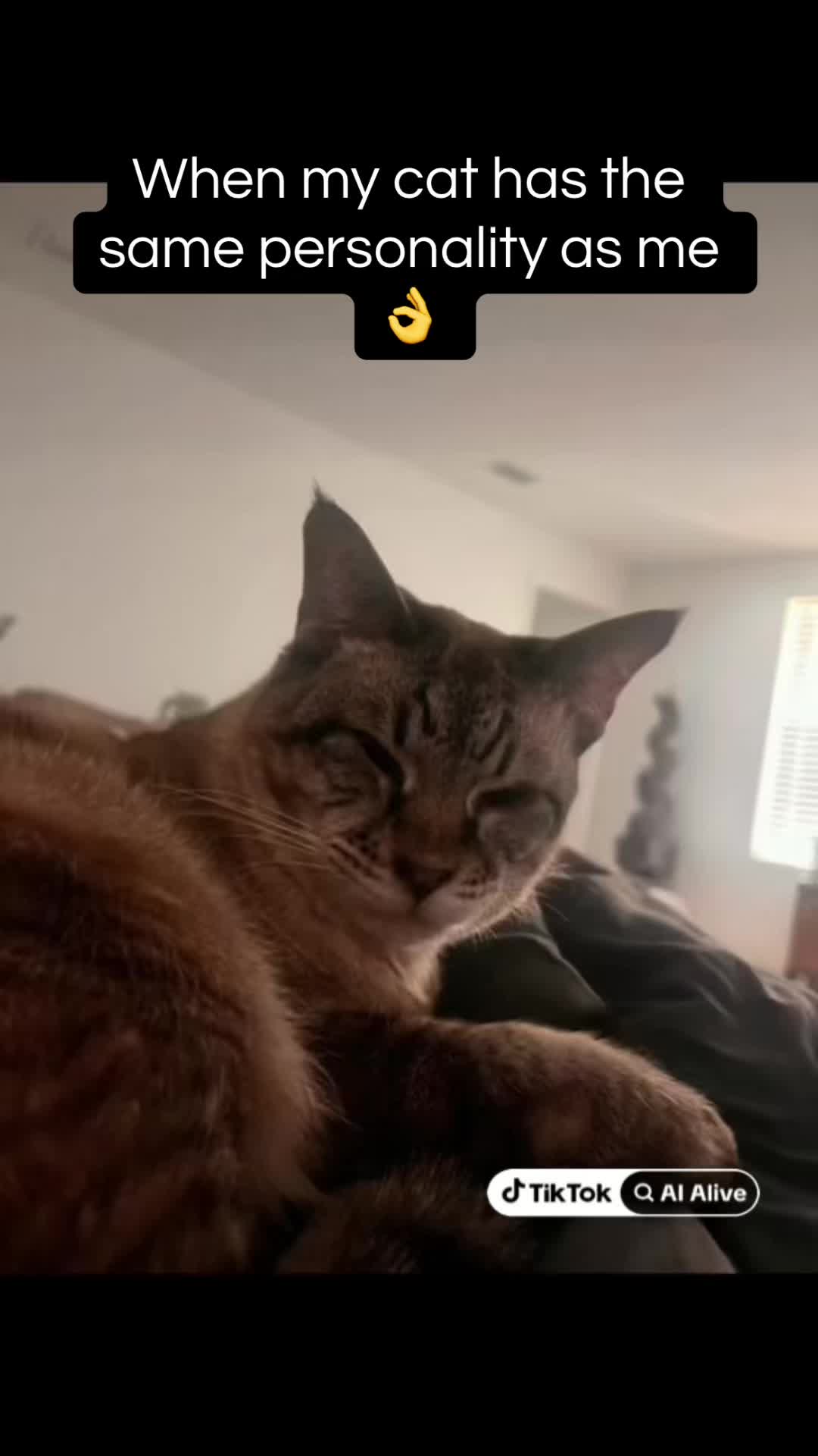 @Crazedcatz69🔮🔮