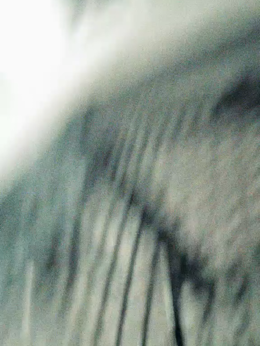 @N O I R ๐ท