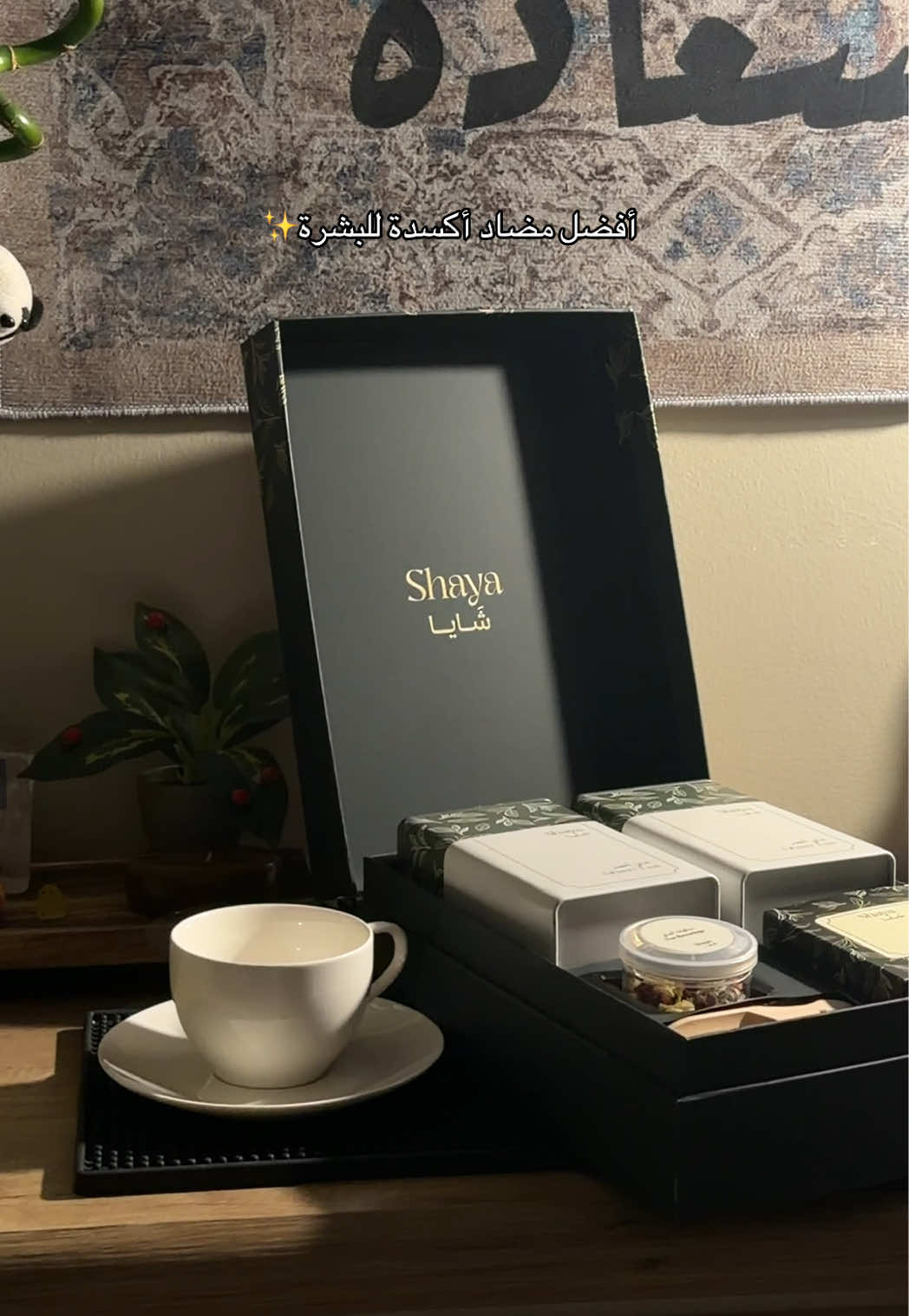@سَديم صالح