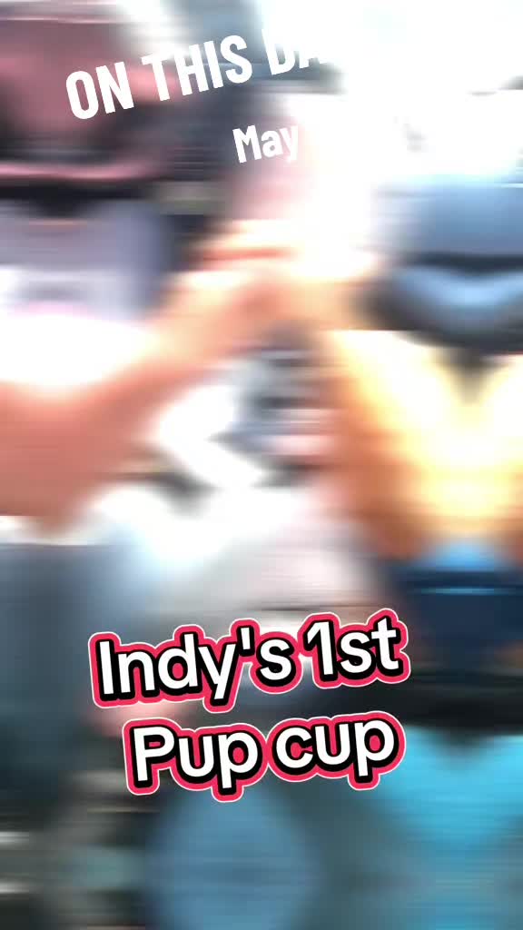 @EvilFrog33
