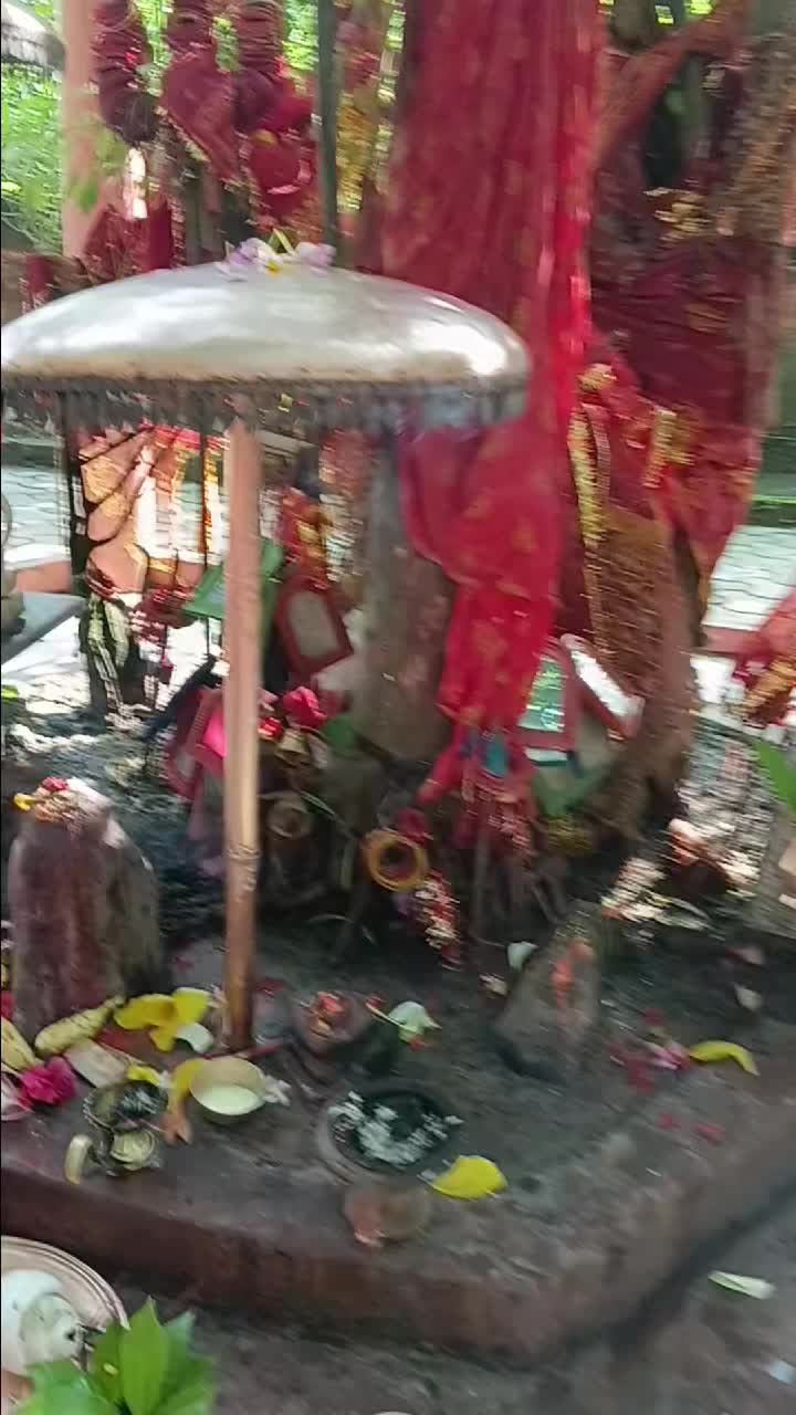 @Tara Pokhrel