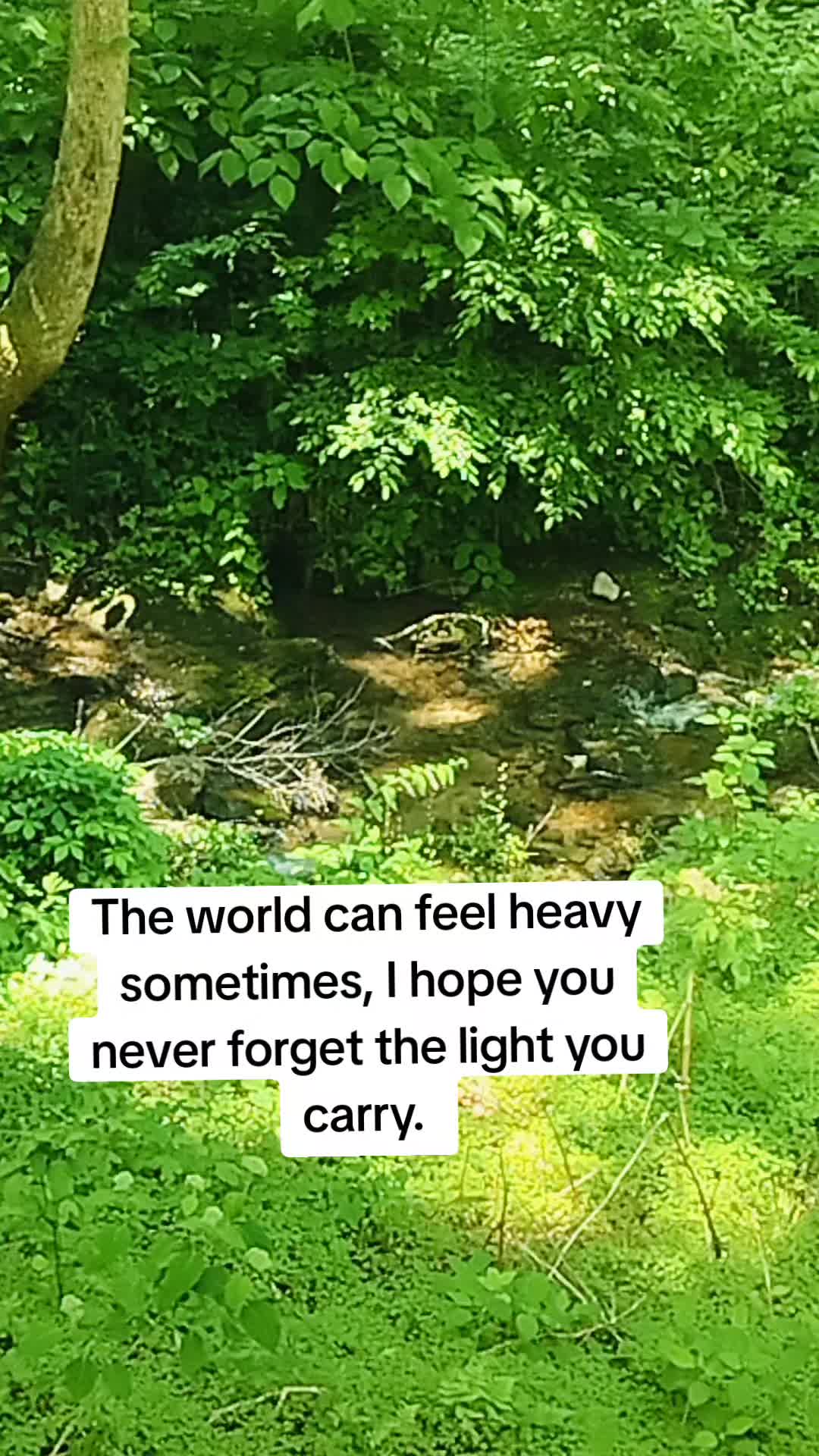 @Toothless Fairy God Mother