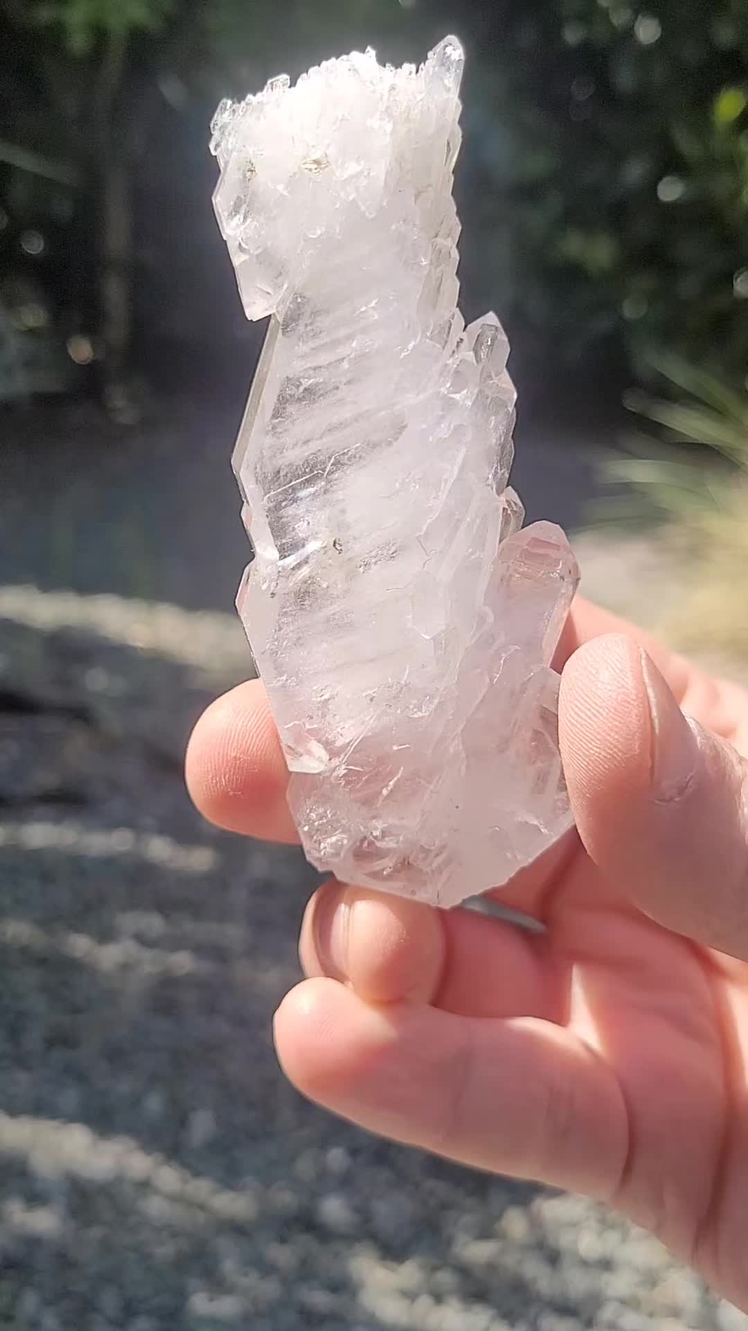 @Kai Jiptner