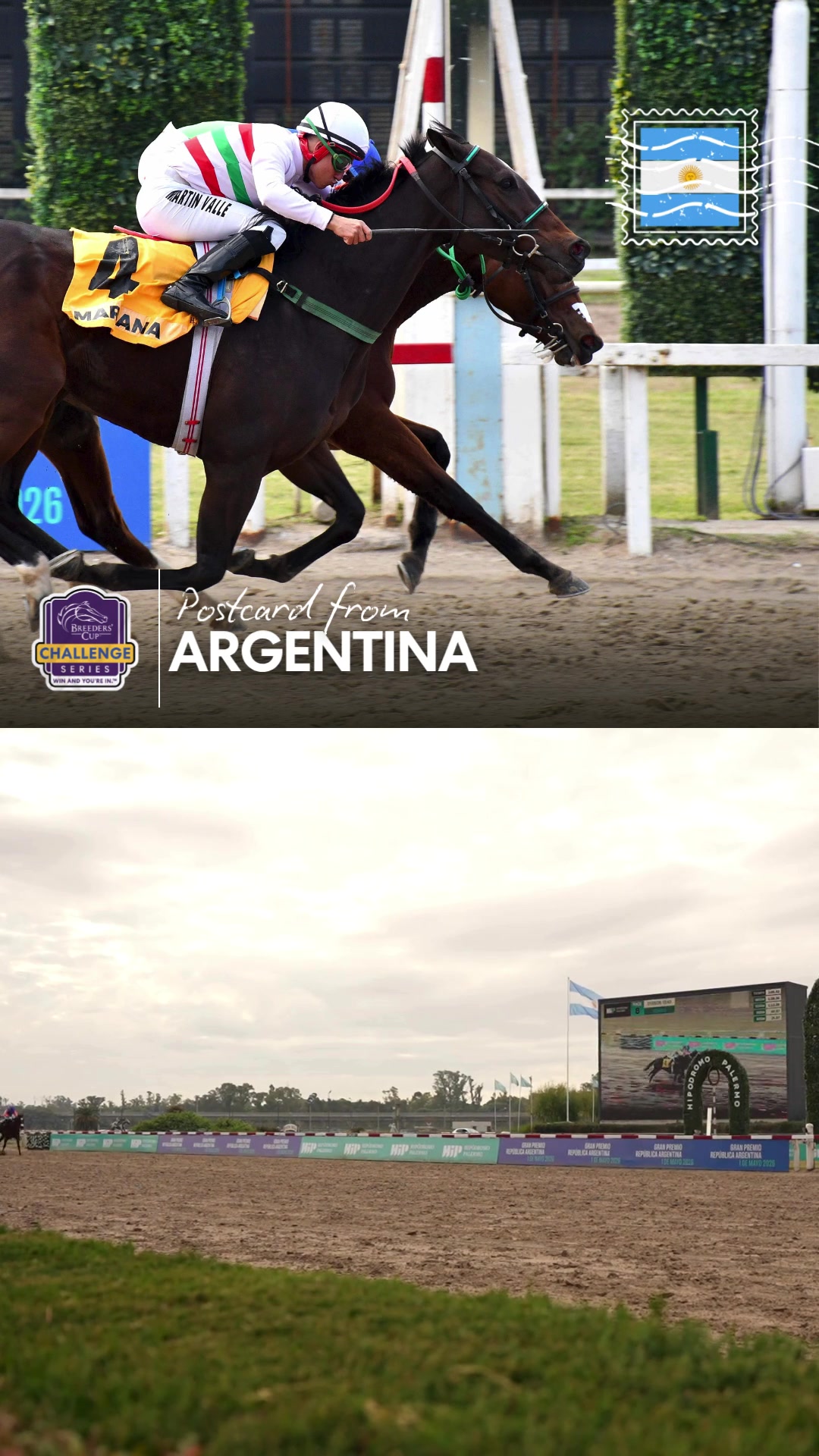 @Breeders&rsquo; Cup