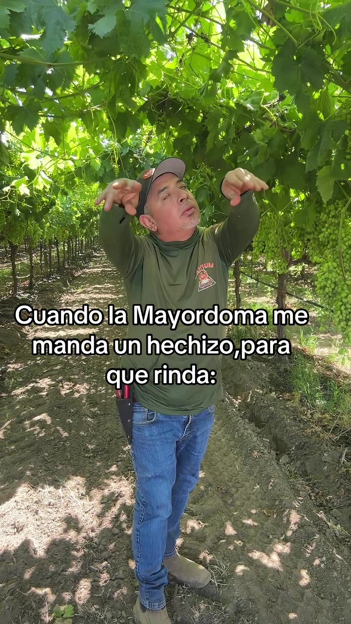 @Gustavo