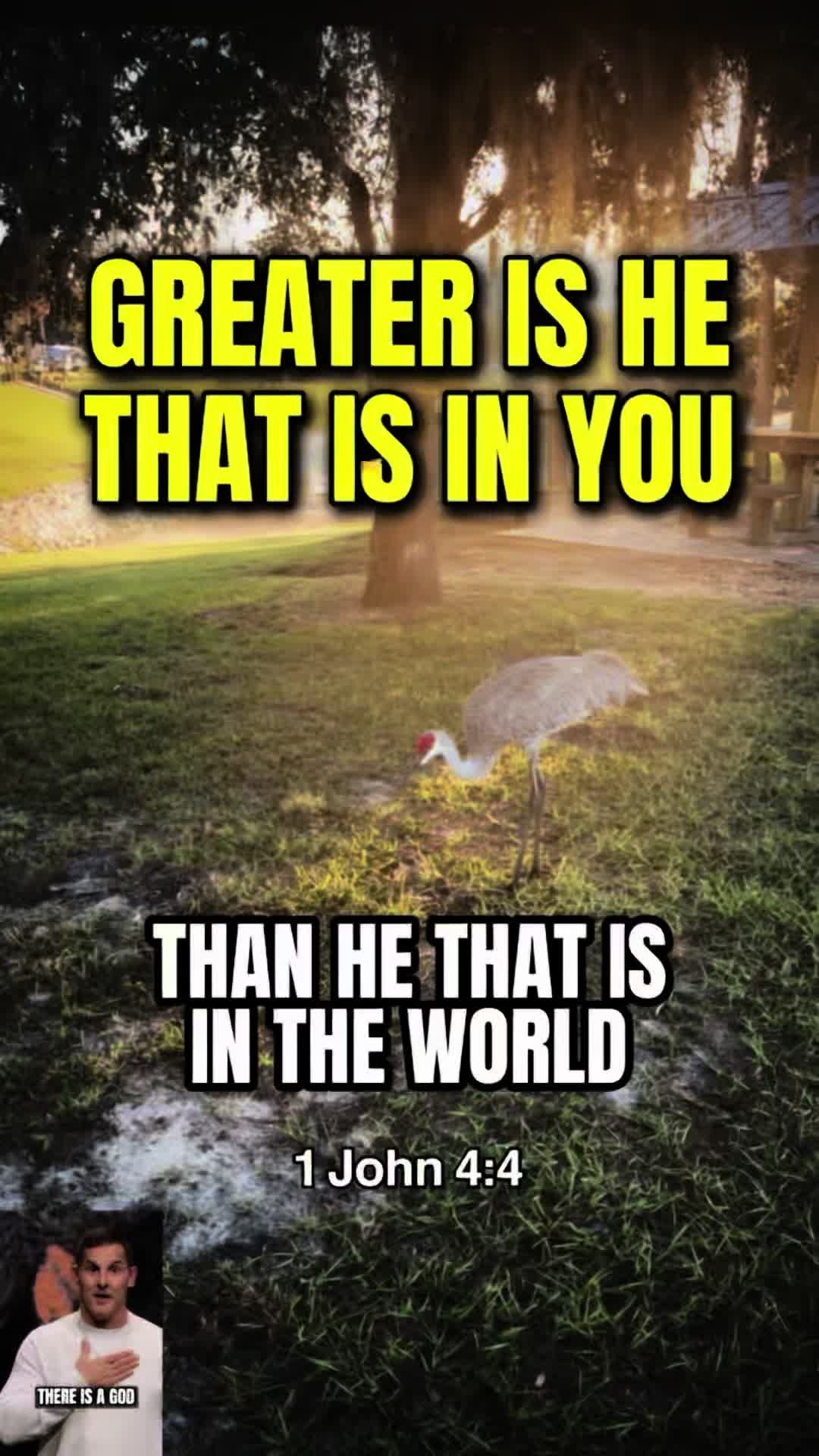 @Reasonsforourfaithministries