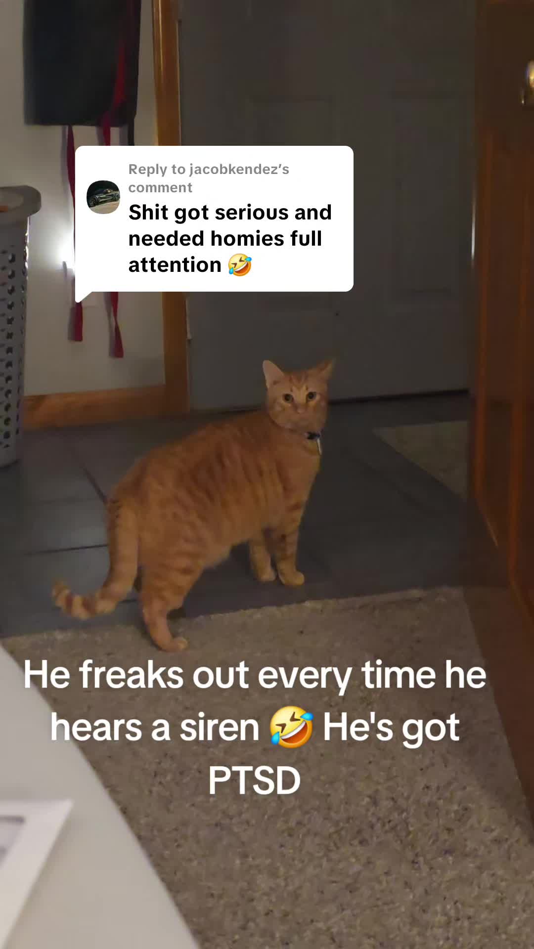 @Jessica ๐