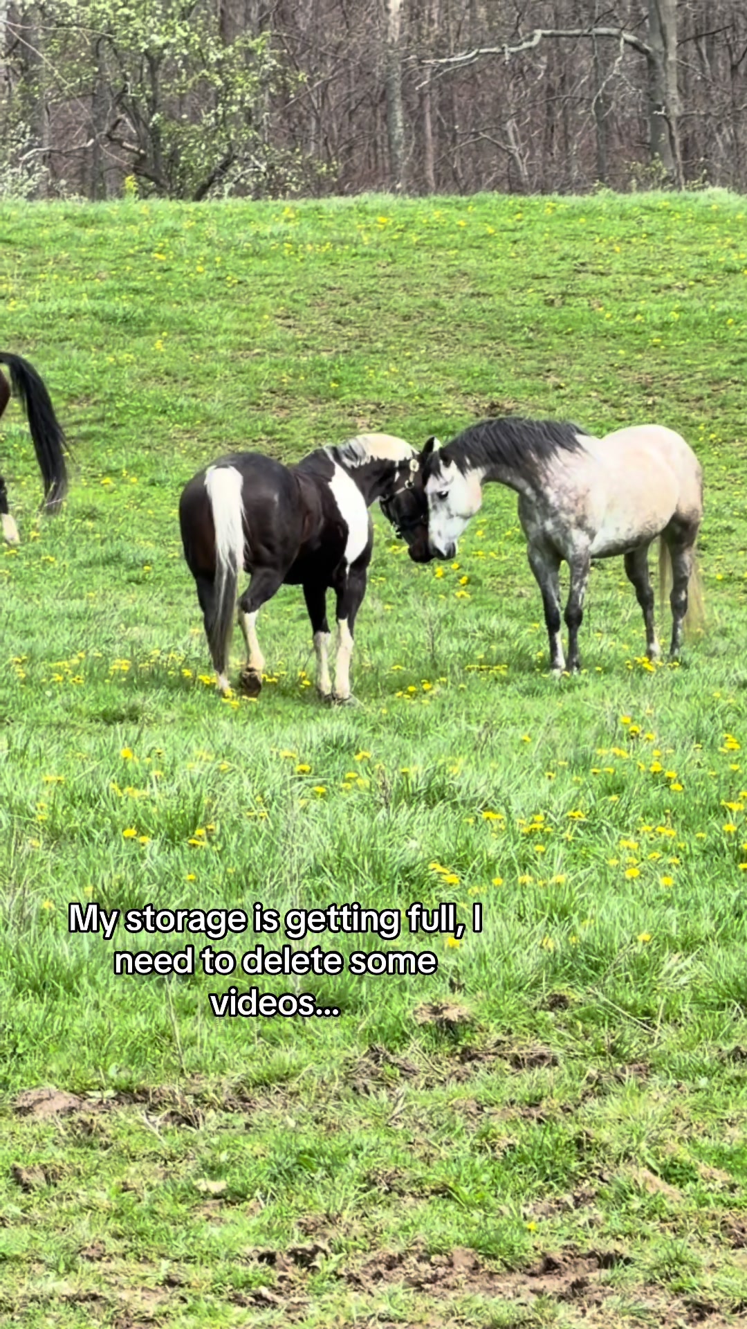 @Jae&Daisy♡