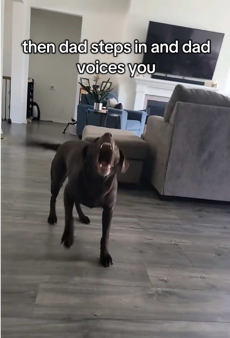 @cherry.harold