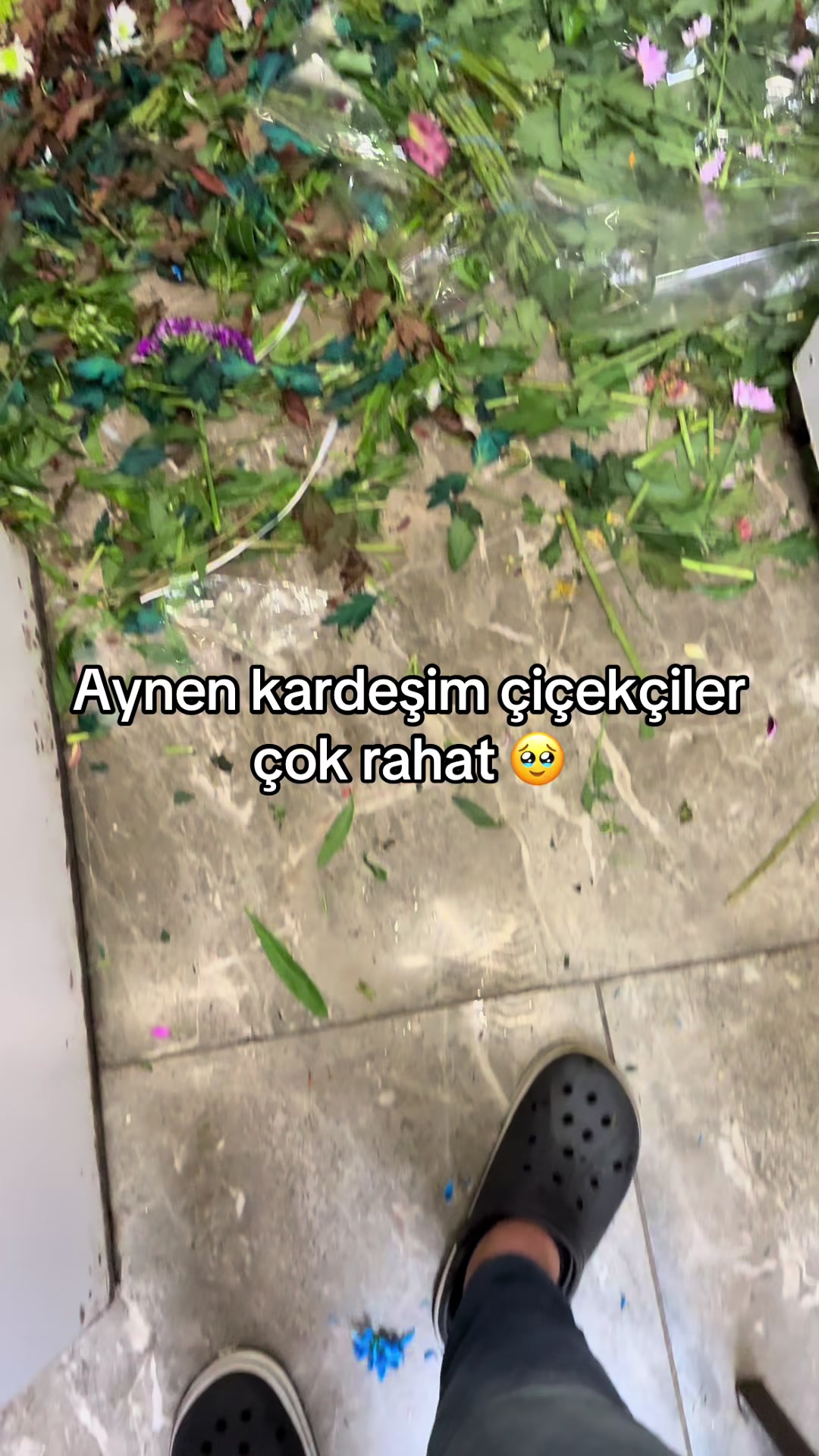 @TOLGA KO&Ccedil;AK