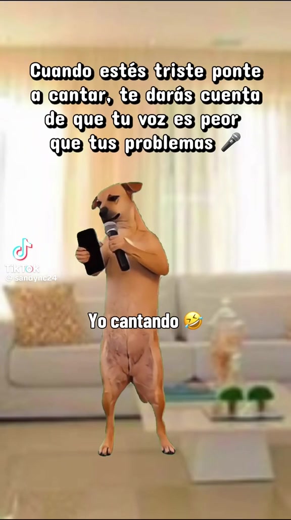 @Lulu Gomez