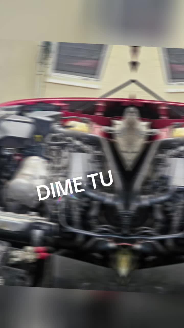 @ANJELICA@
