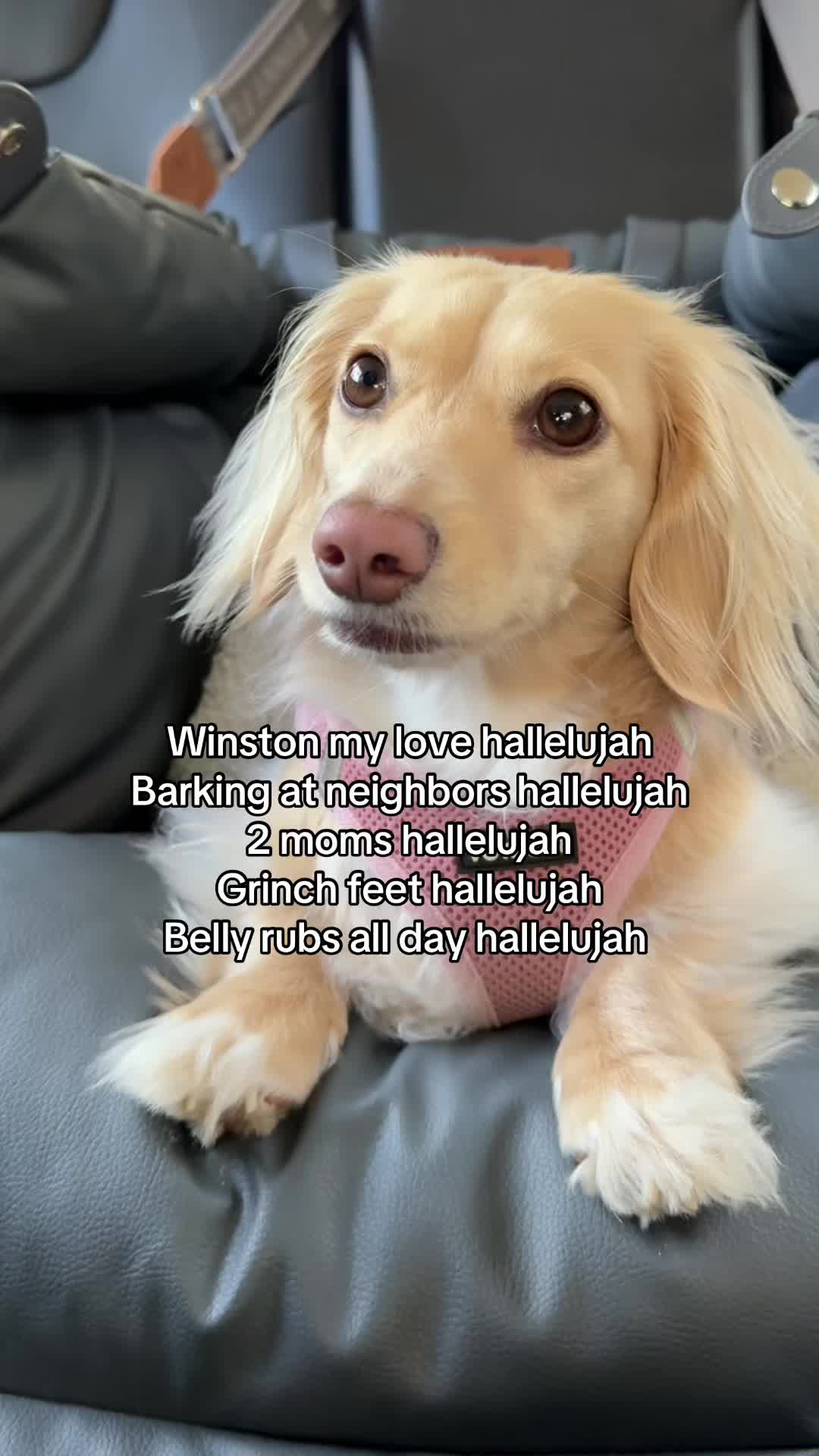 @Billiebeantheween