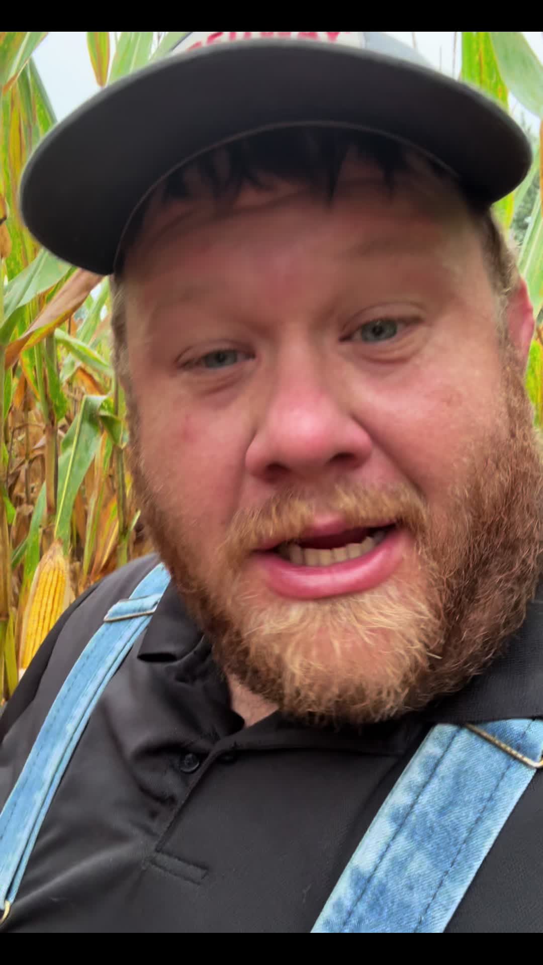 @Tarheel Farmer