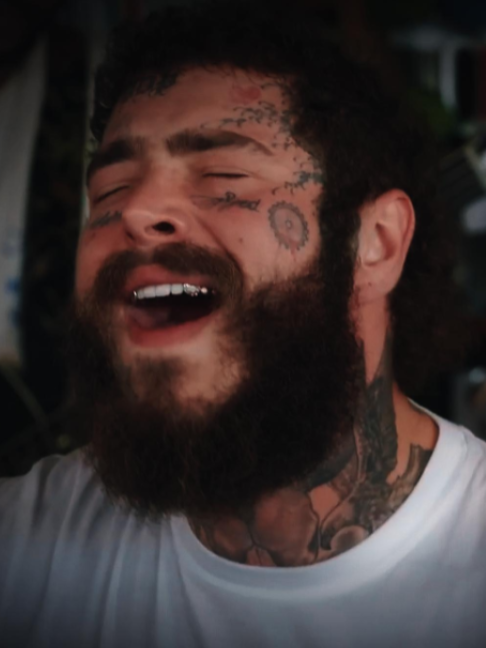 @Sir. Zipploor III