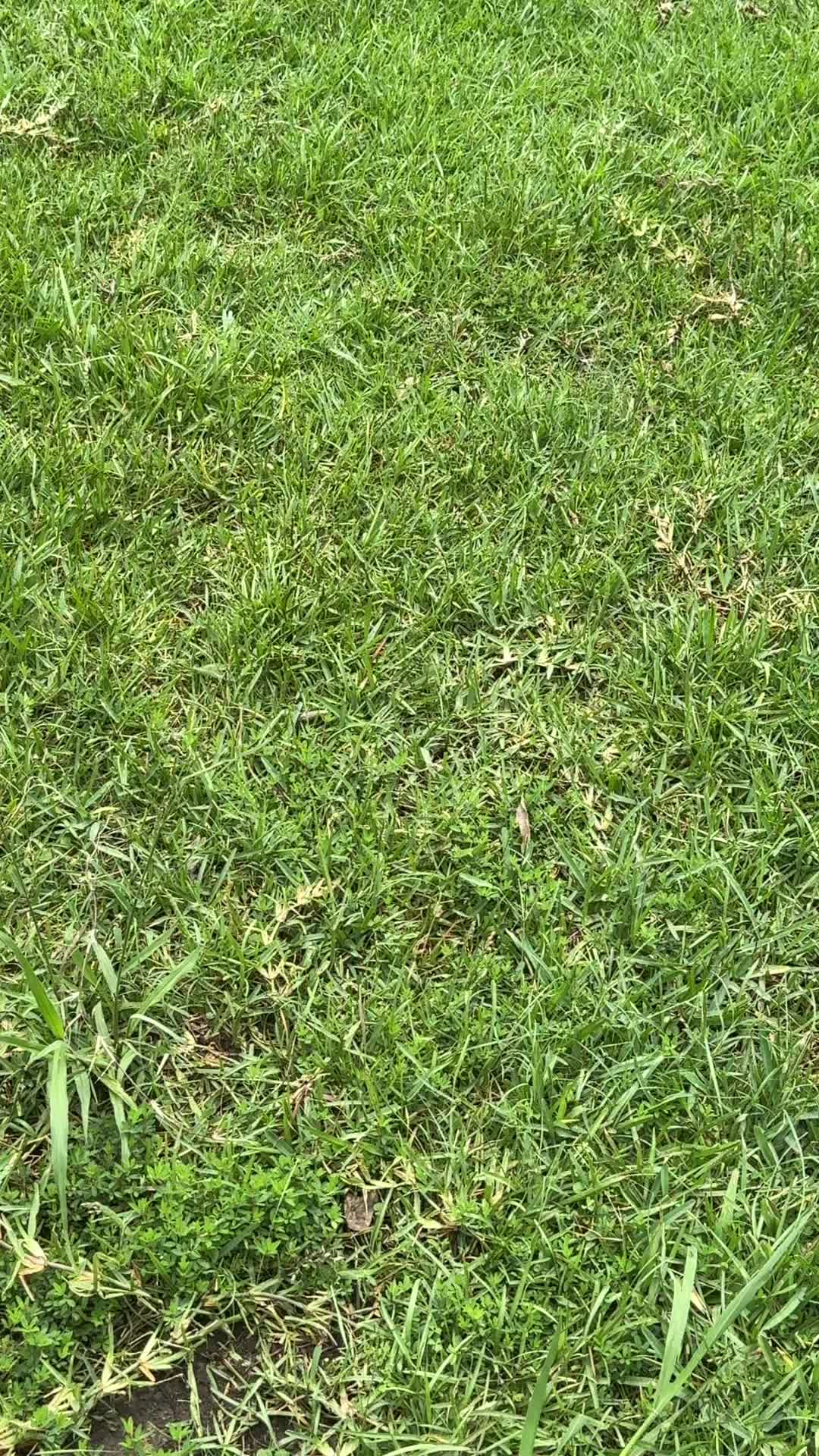 @TheHobsonSquad