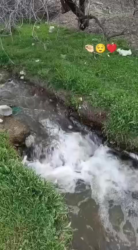 @Nazlı🌸