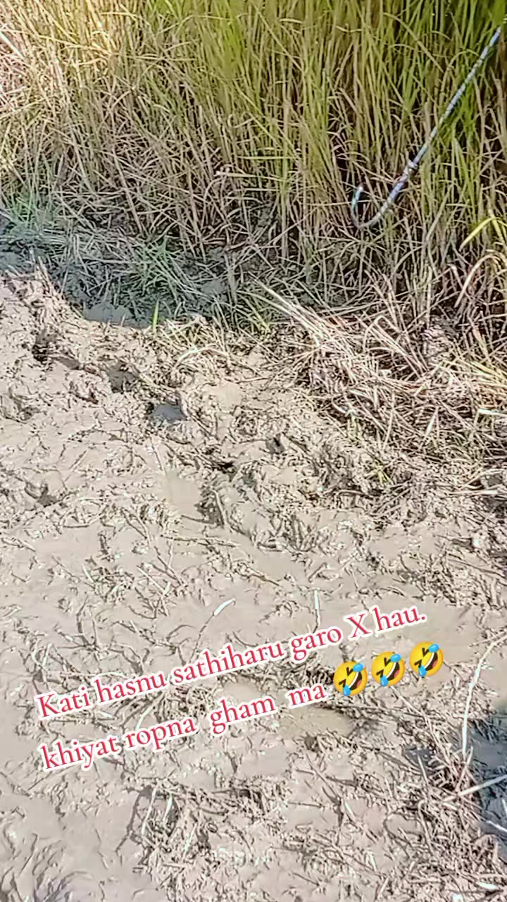 @Samjhana Chaudhary