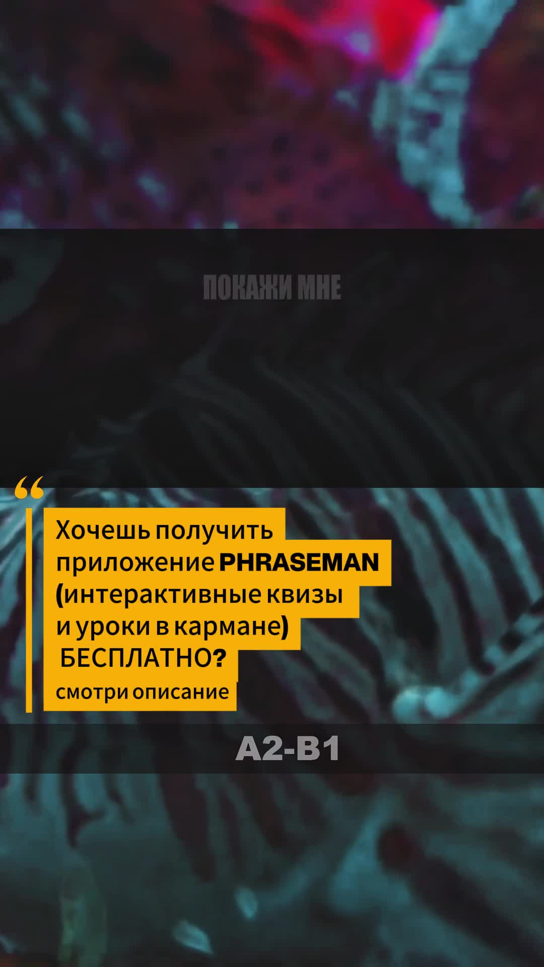 @Языковая Академия Лингмана