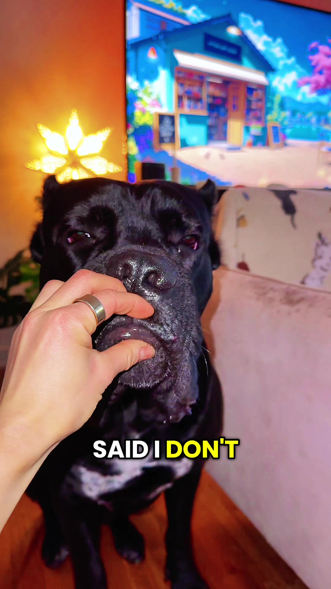 @Bentley Has Issues