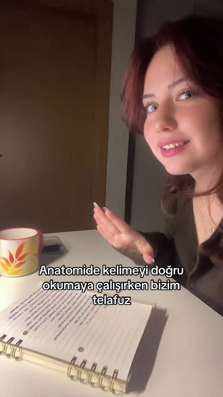@turkishariel