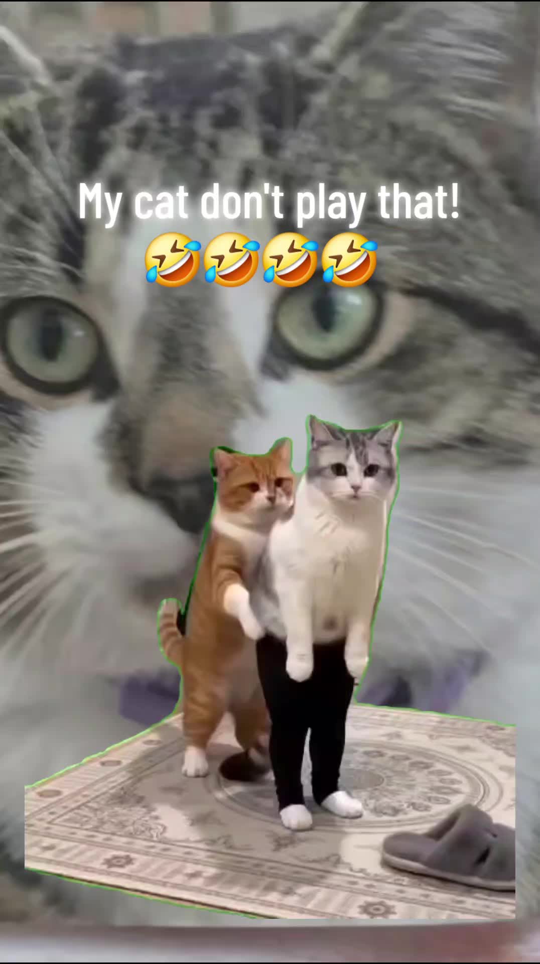 @LALALOVE4U (LALA)