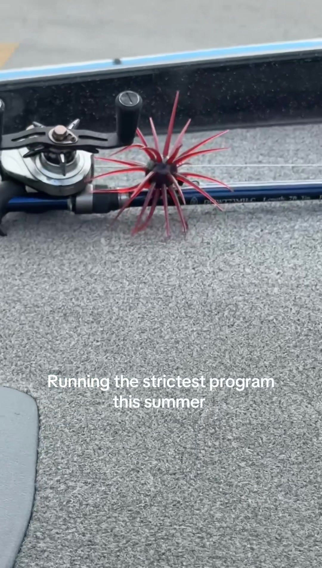 @LambFishing