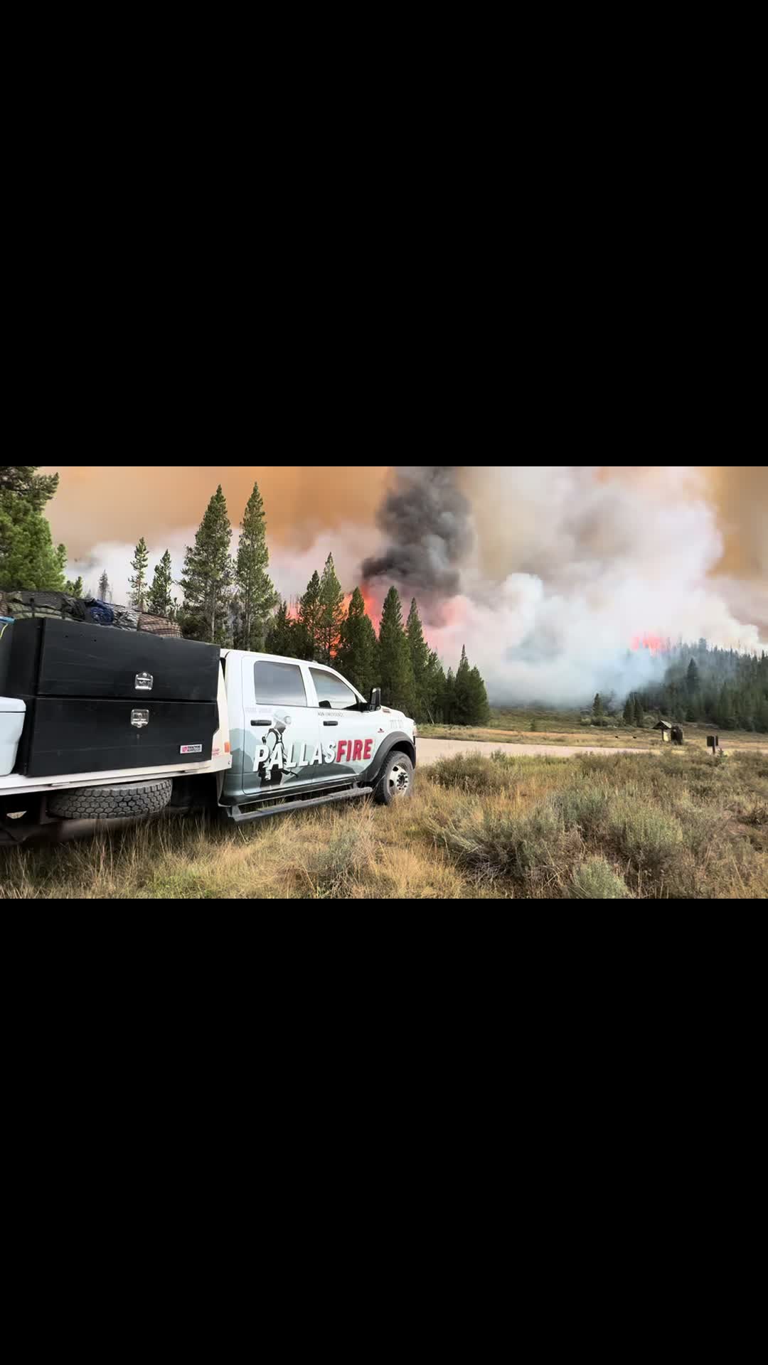 @PallasFire