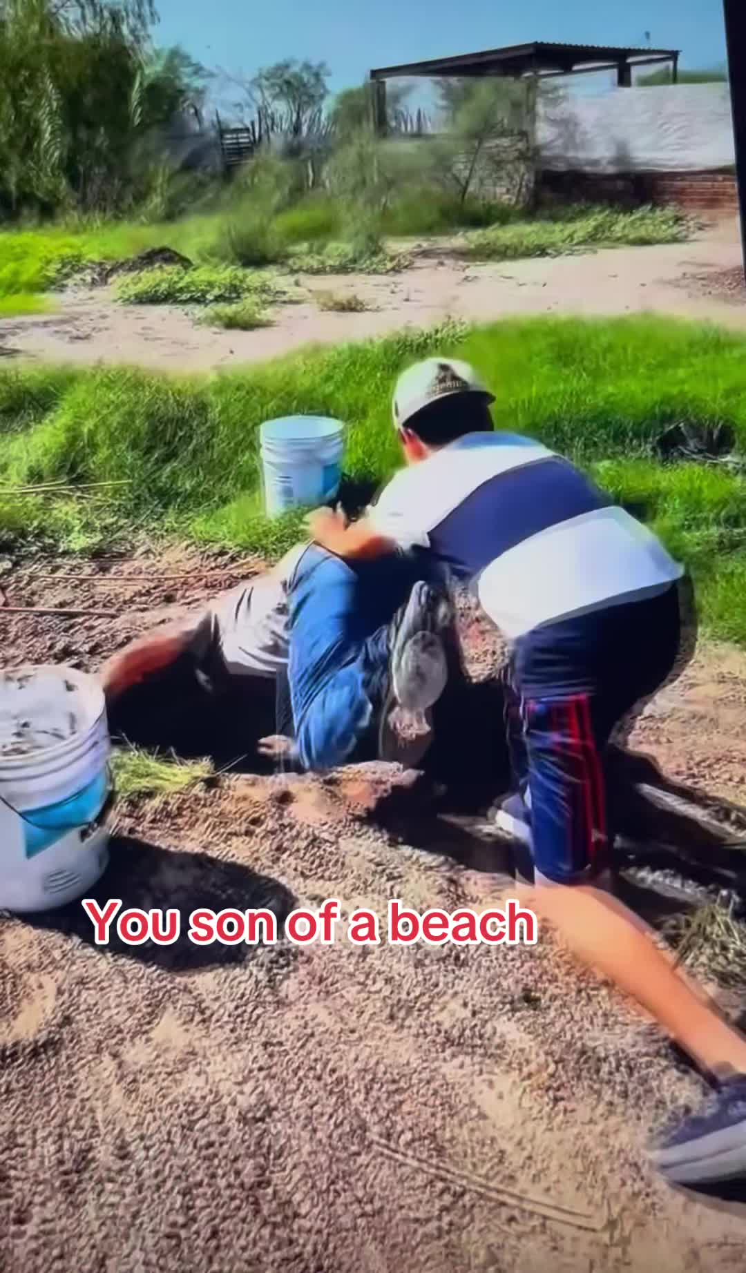 @WiseGize