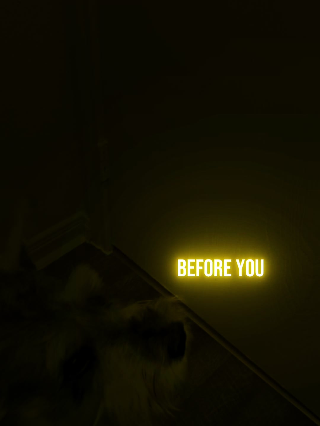 @Cooper The Schnauzer