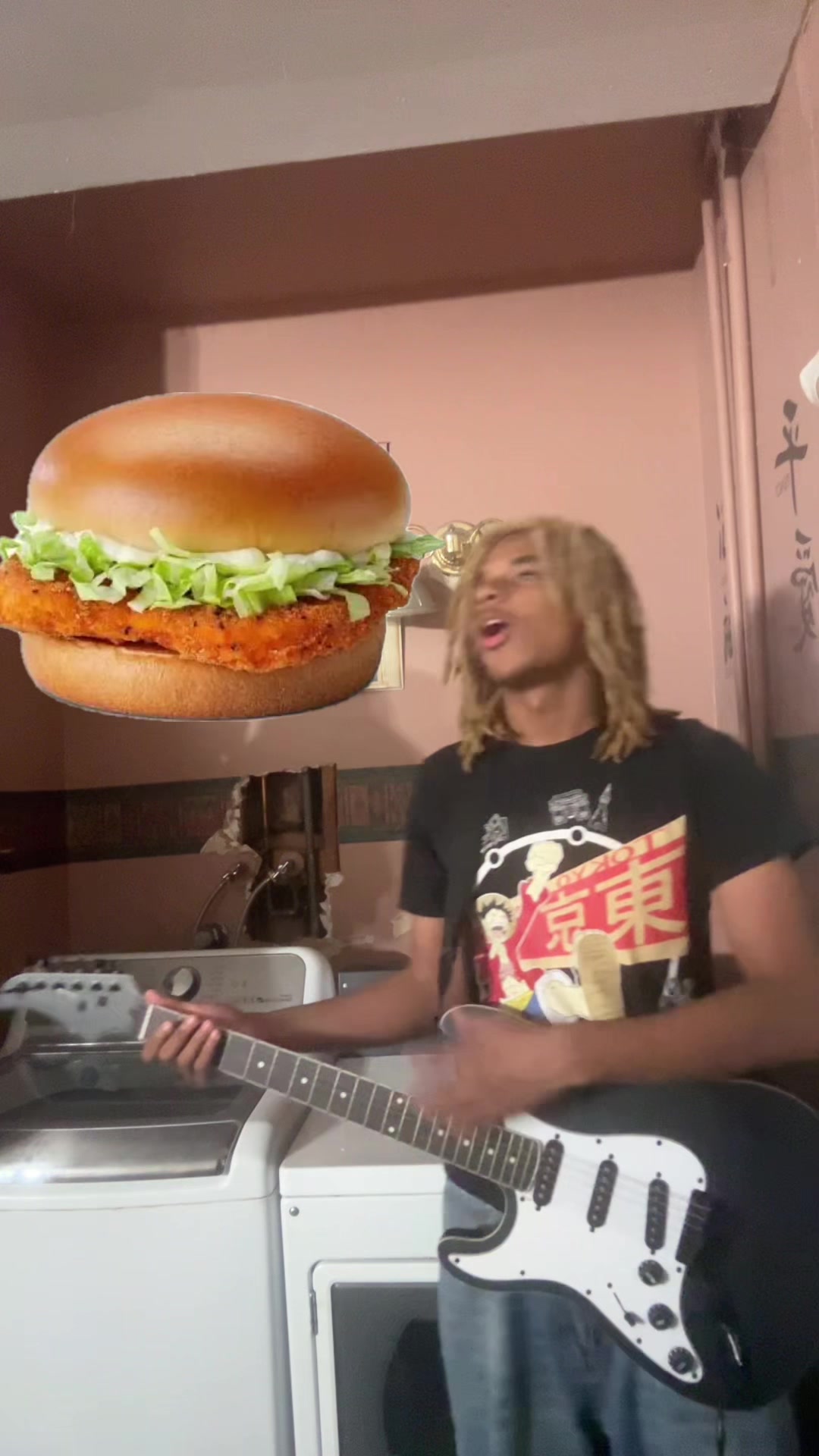 @ohbabyilovemcchickens