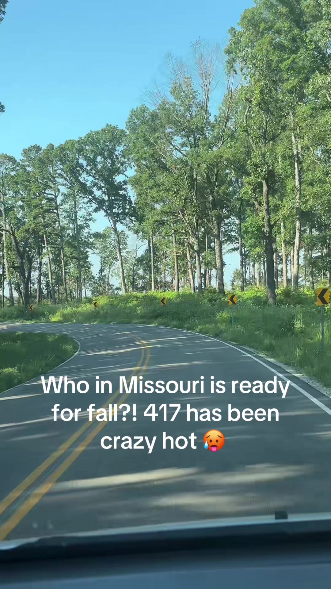 @shayalishay