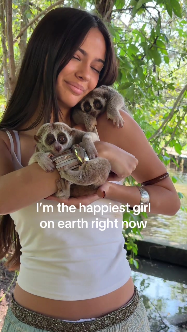 @bella
