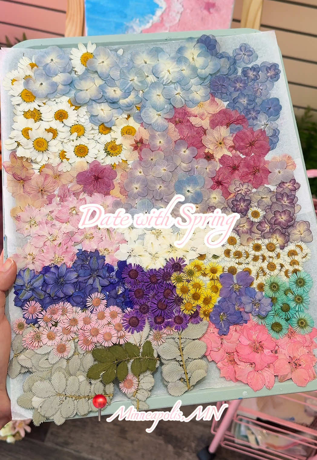 @craftopia_mn