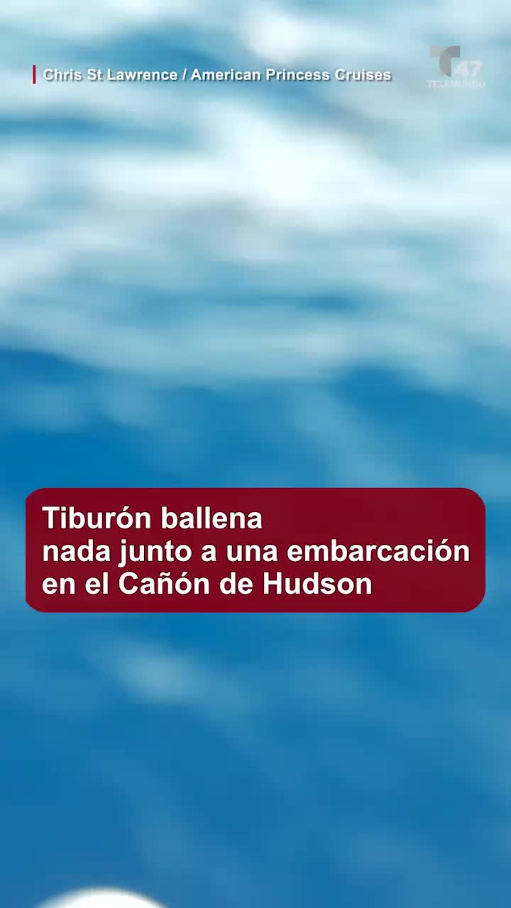 @Telemundo47