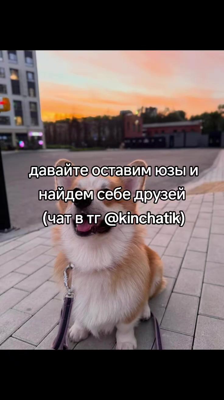 @cqtagger