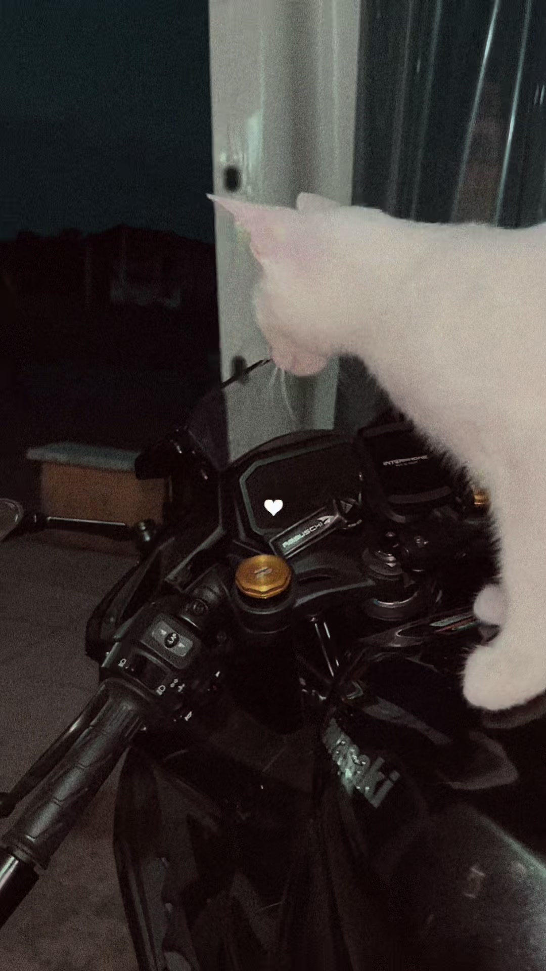 @miss.sbyron🖤🏍️