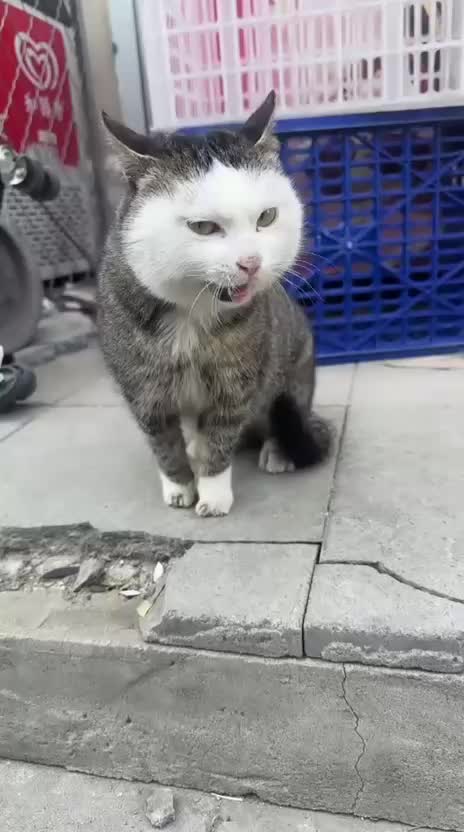 @Funny