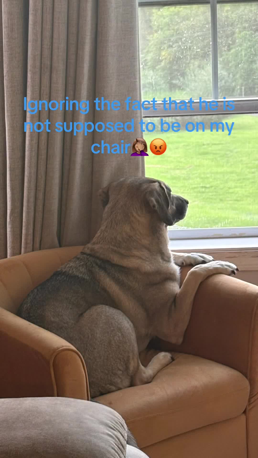 @Chosen197e