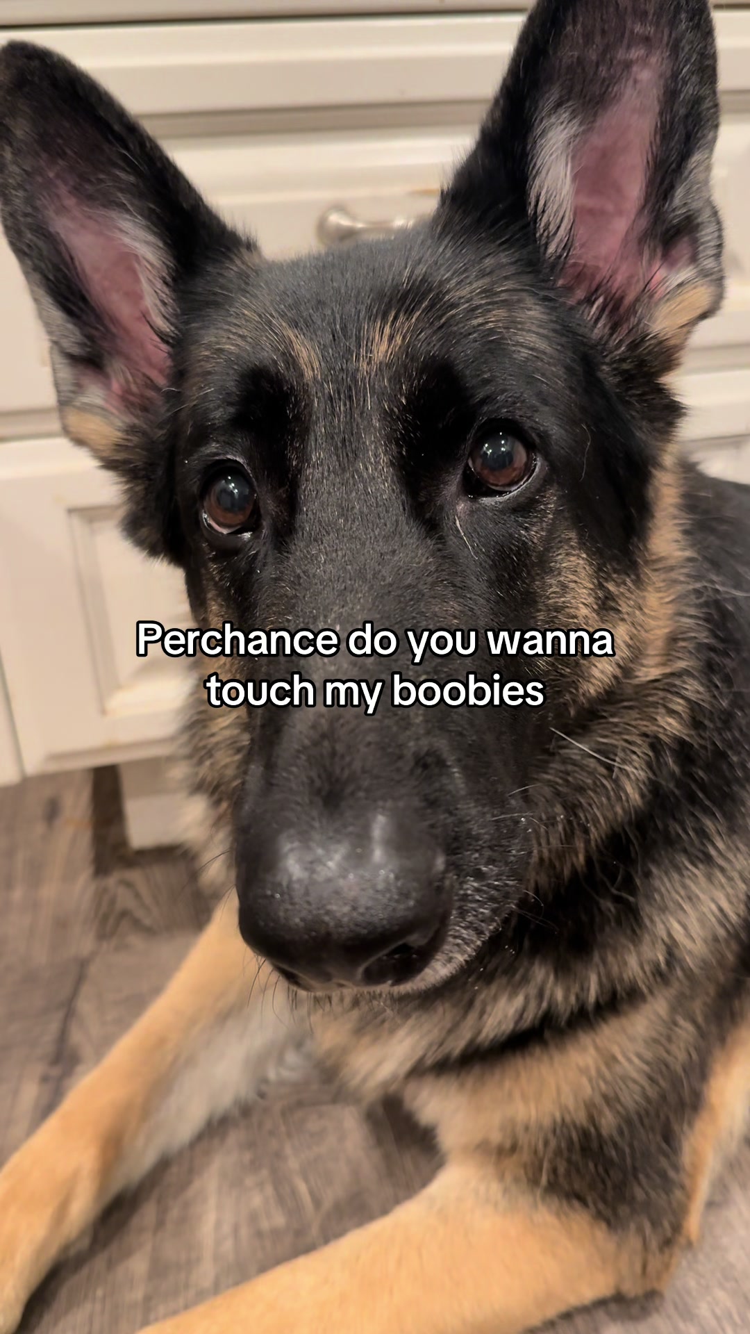 @Bhris
